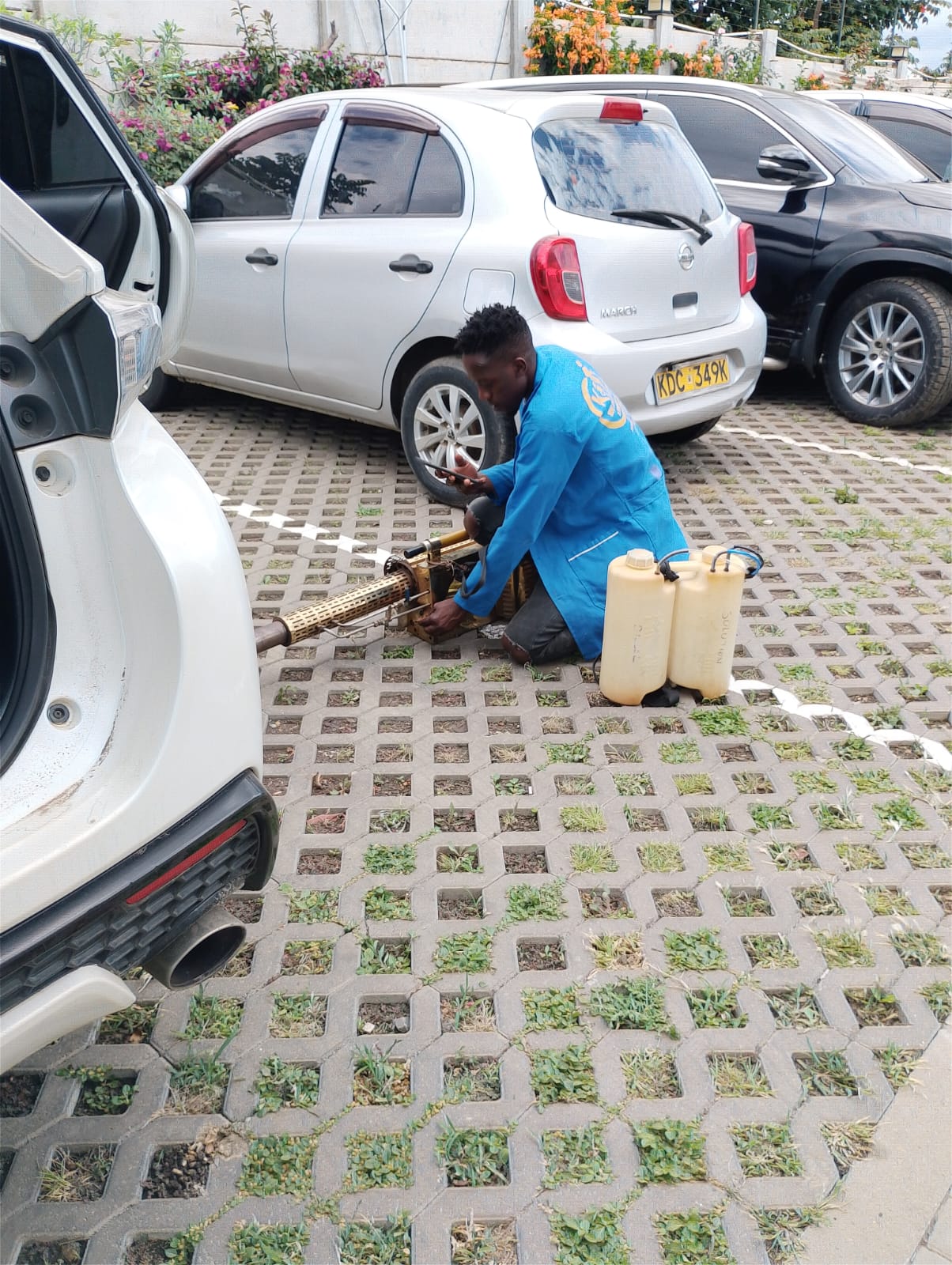 Fumigation Services